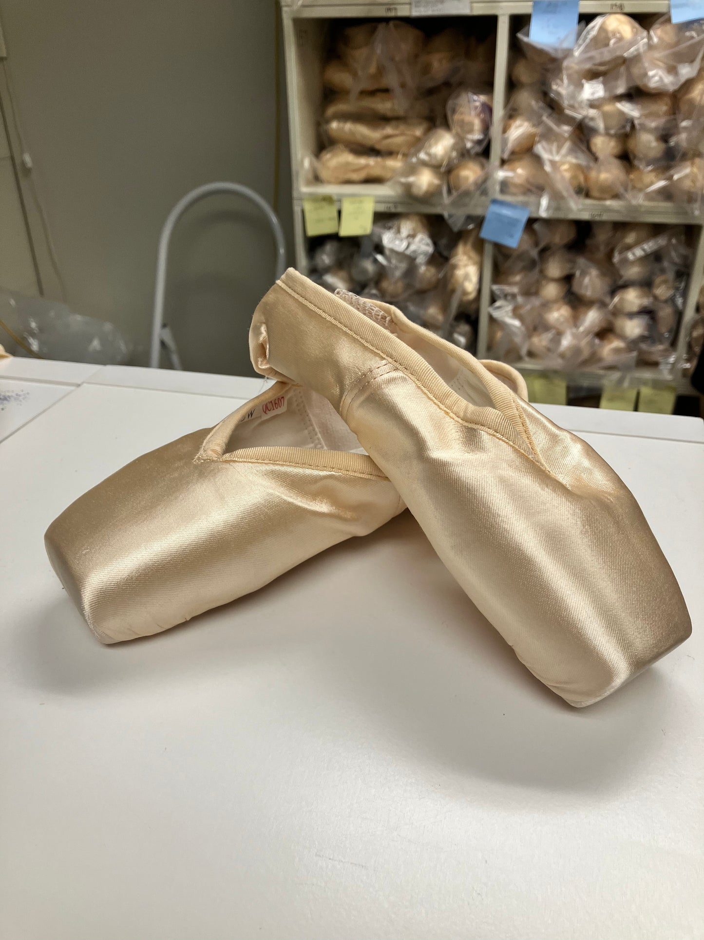 Overstock Sansha Pointe Shoes