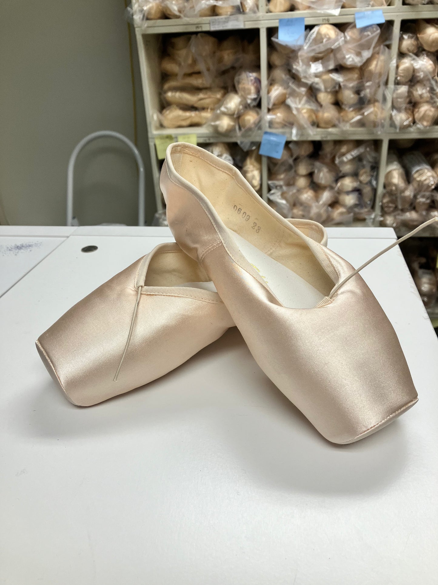 Overstock So Danca Pointe Shoes