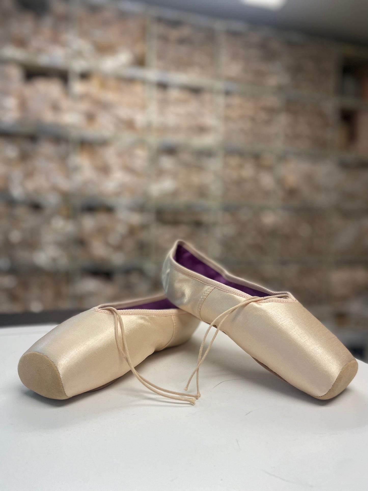 Overstock Merlet Pointe Shoes