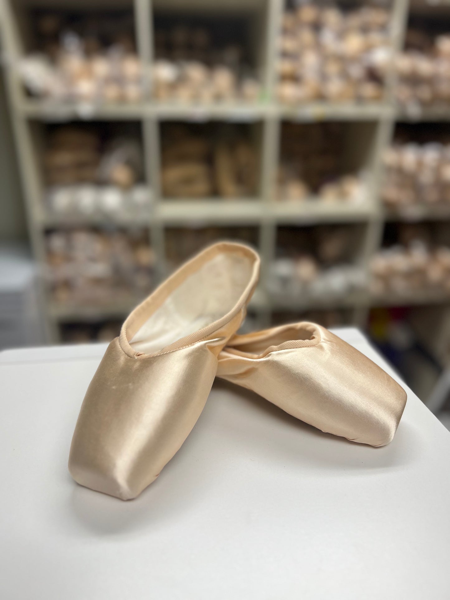 Overstock Nikolay (Grishko) Pointe Shoes