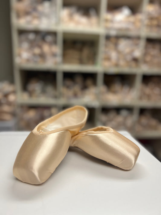 Overstock Virtisse Pointe Shoes