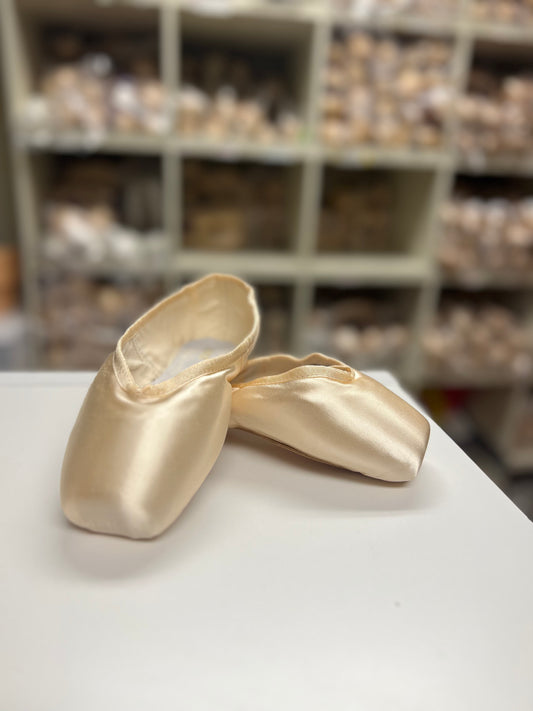 Custom Overstock Bloch Pointe Shoes